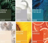 爱玛最新6款流行色发布 用颜色诠释生活的美好