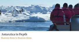 南极北极豪华邮轮火爆非常，随之而来的环保问题不容忽视