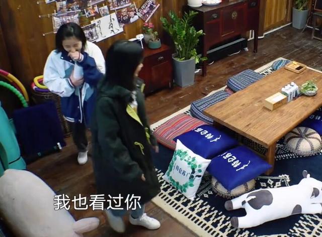 同是不相识,为何却感觉张子枫与谭松韵相见恨晚,何炅一语破的
