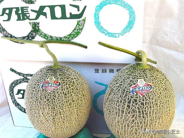 世界上最贵的水果:贫穷限制了我的想象,一口能吃掉一套房