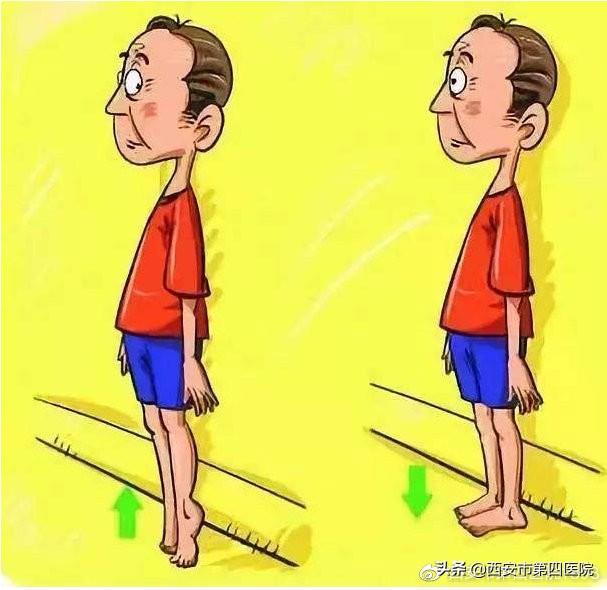 每天踮踮脚跟,养生又瘦身