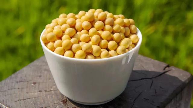 夏季这5种“黄金”食物,补脾养胃,吃出好气色!