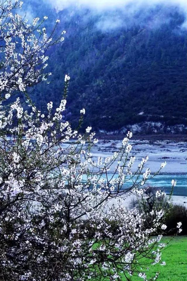 中国唯一不收费高速公路,5小时能看遍世间最美风景