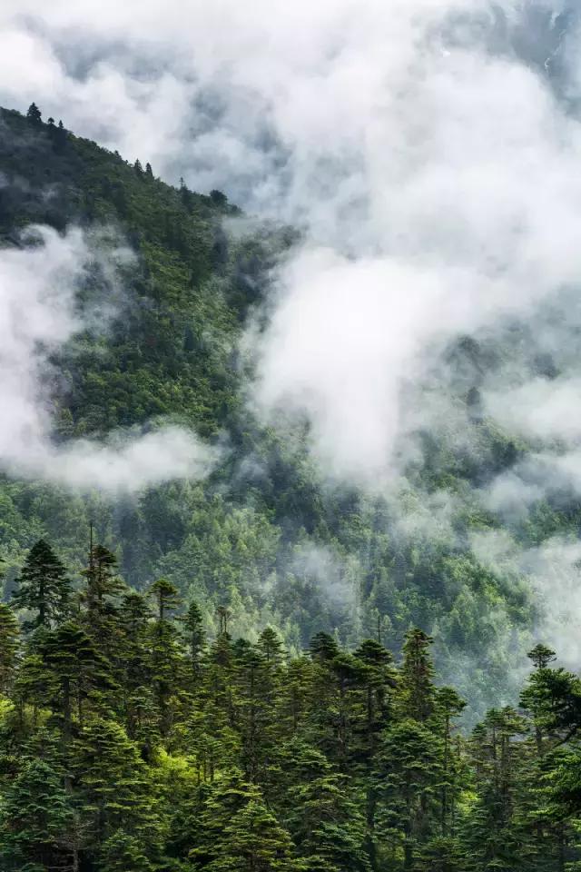 中国唯一不收费高速公路，5小时能看遍世间最美风景