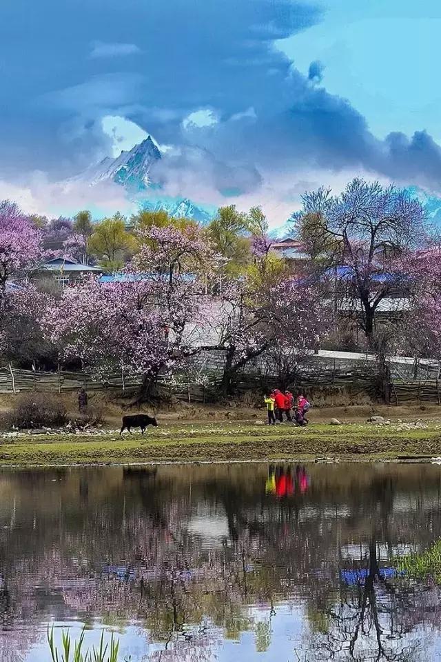 中国唯一不收费高速公路,5小时能看遍世间最美风景