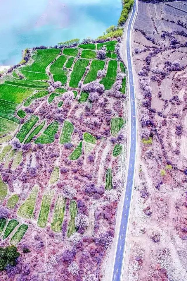 中国唯一不收费高速公路,5小时能看遍世间最美风景