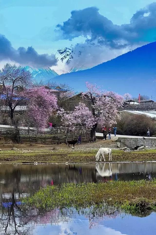 中国唯一不收费高速公路,5小时能看遍世间最美风景