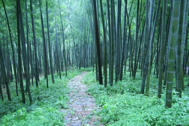七月错过了这10个避暑胜地,就失去了一整个美好的、凉爽的夏天