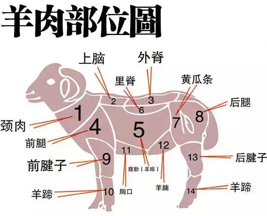 吃羊肉我只服新疆人!史上最全的羊肉做法,太攒劲了!你吃过吗?