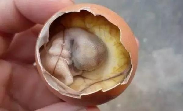 福建最奇葩的七大美食,外地人闻风丧胆