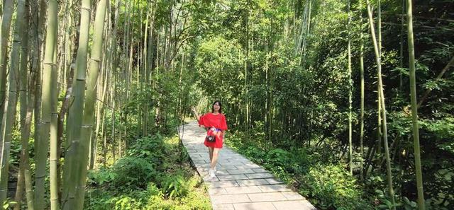八月,穿越那片花海那湾水