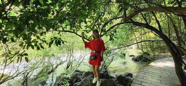 八月,穿越那片花海那湾水