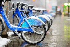 什么样的共享经济企业能走向成功？