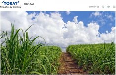 用甘蔗和玉米替代石油，日本东丽首创100%基于植物原料的聚酯纤维